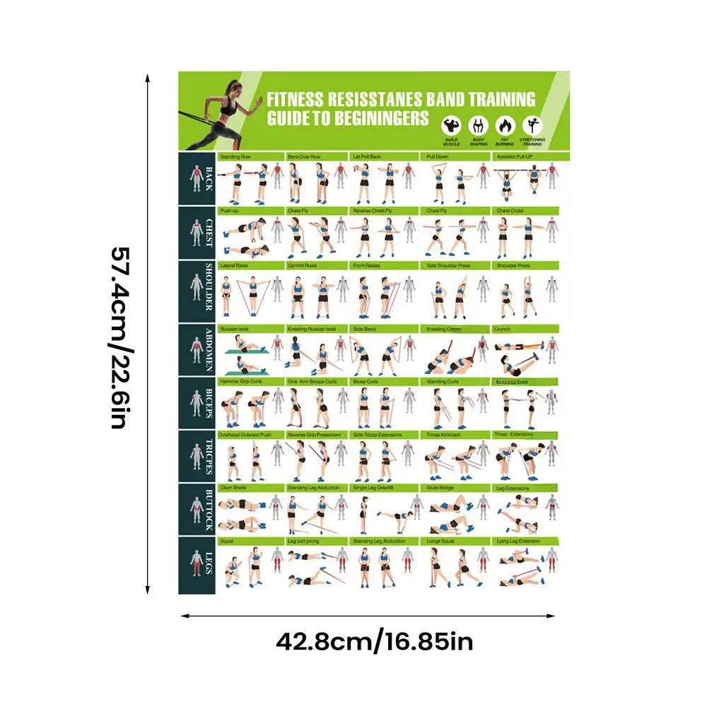 Workout Posters – Resistance Bands & Yoga Exercise Wall Chart