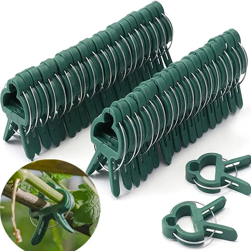 20Pcs Reusable Plant Support Clips for Vines & Seedlings