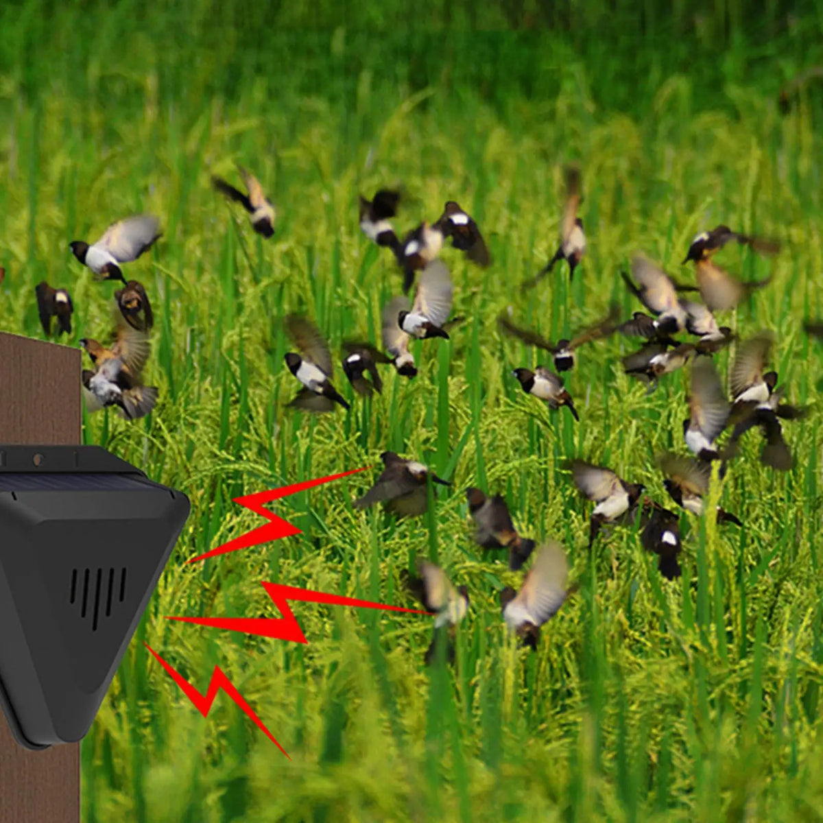 Solar Bird & Animal Repeller – 13 Sounds, Waterproof Outdoor