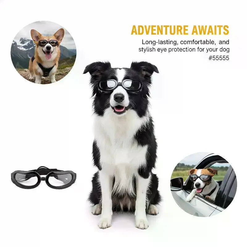 Dog Goggles UV Protection Adjustable Pet Sunglasses | JETTING