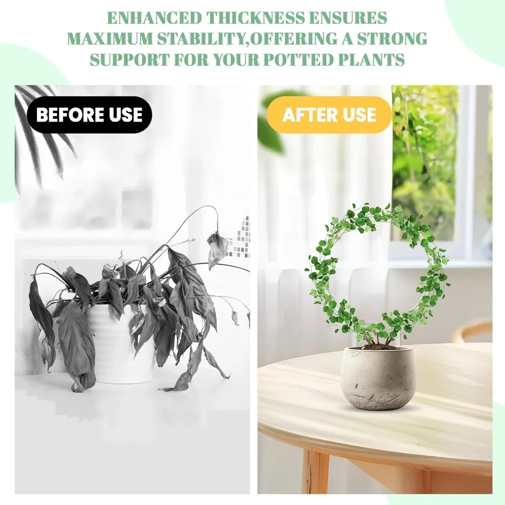 Transparent Round Plant Trellis – Plastic Indoor Support Frame