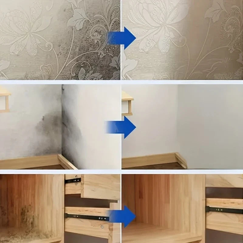 Wall Mold Remover Spray – Anti-Mold Household Cleaner