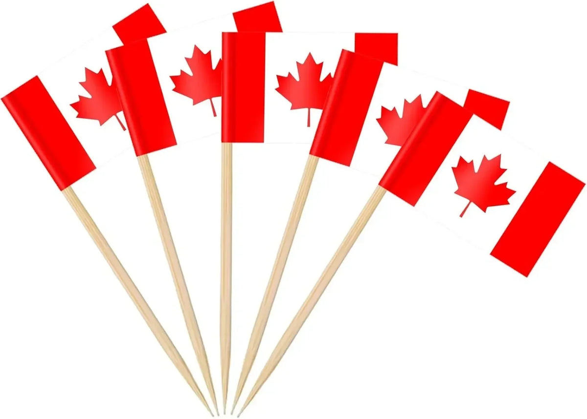 Mexico Flag Toothpicks 100pk – Mini Food Picks & Party Toppers