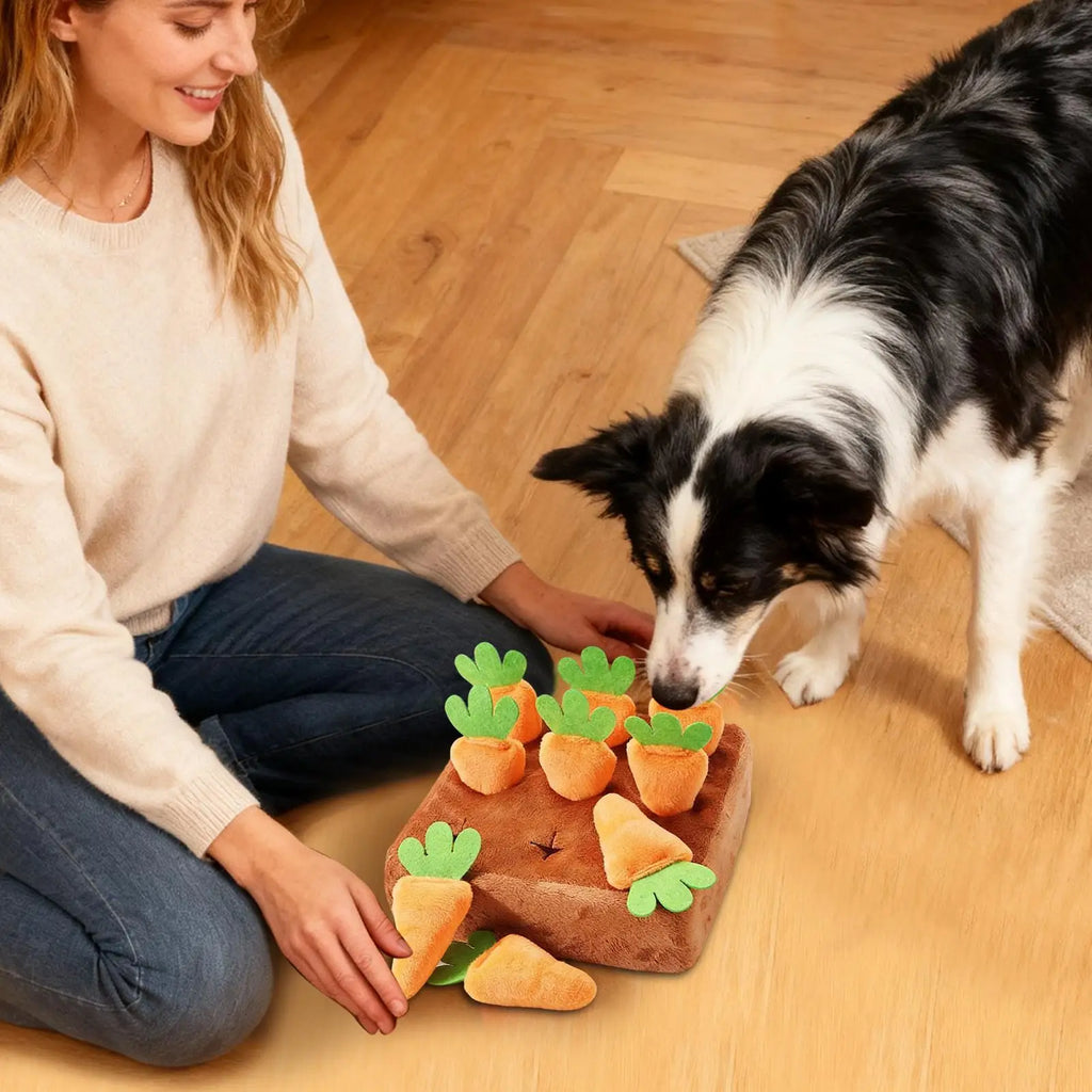 Dog Snuffle Mat Carrot Puzzle Feeding Toy – Dogs & Puppies