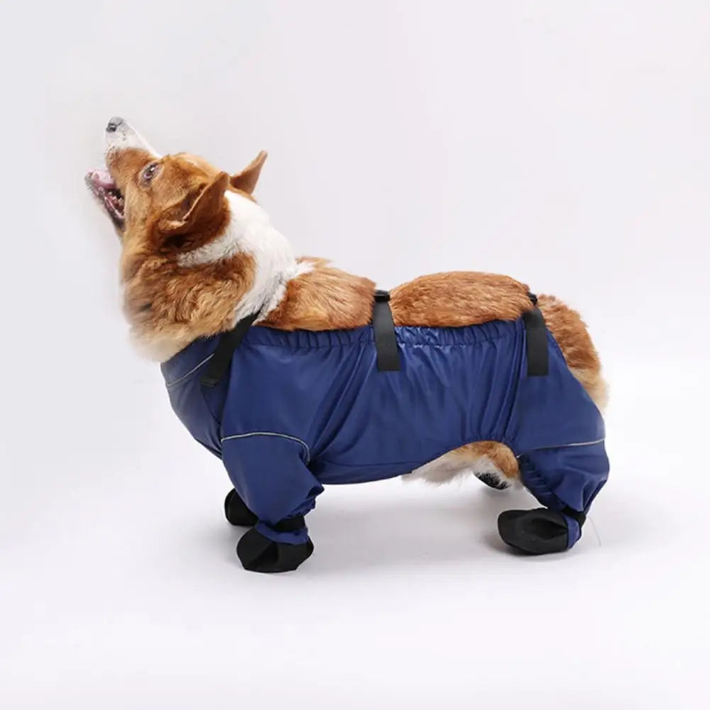Waterproof Dog Boots with Suspender Sling | Anti-Slip Paw Protector