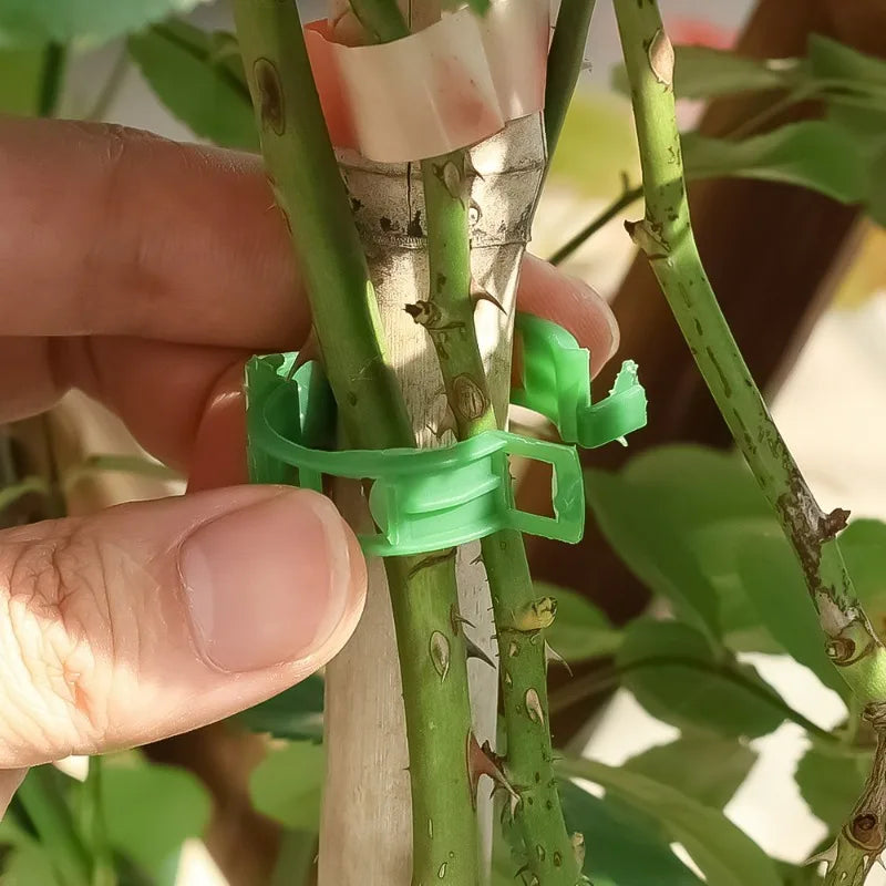 200Pcs Garden Plant Support Clips for Vines, Tomatoes & Climbing Plants