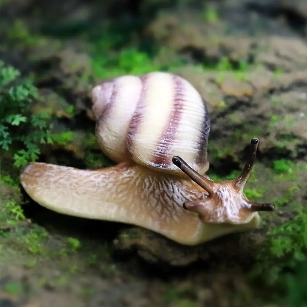 Mini Resin Snail Figurine – Fairy Garden & Desktop Décor