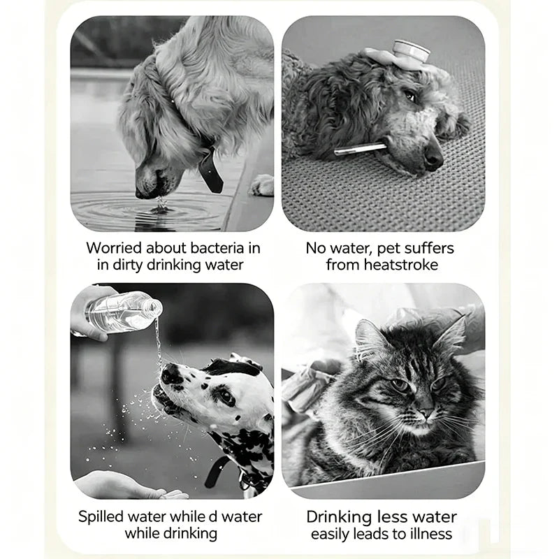 Foldable Pet Water Bowl – Portable Dog & Cat Dispenser