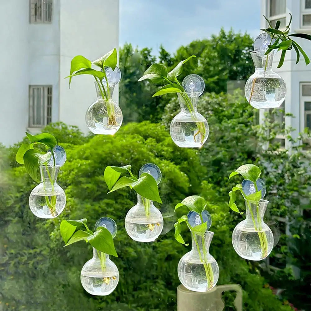 Window Propagation Station Plant Bulb Vase with Suction Cup