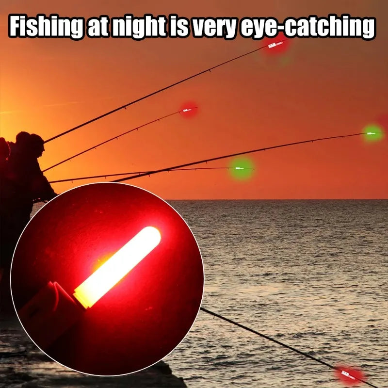 Night Fishing Float Set – 2 Bobbers + USB Charger & CR425 Batteries