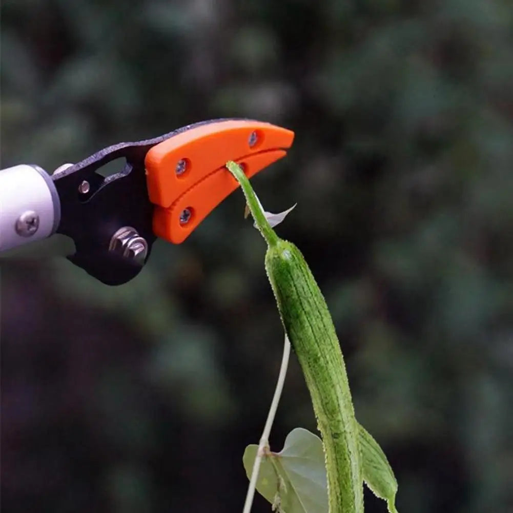0.6M Long Reach Fruit Picker & Pruning Shears | Garden Tool