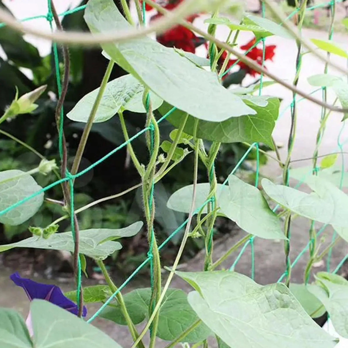 Durable Trellis Netting – Garden Plant Climbing Support Net
