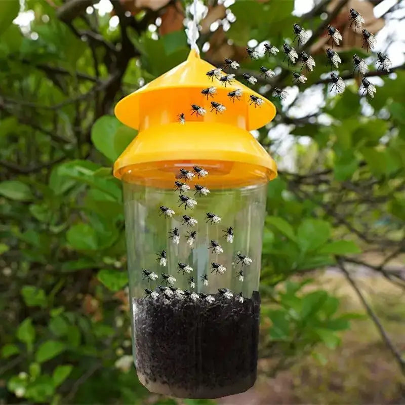 Reusable Fruit Fly Trap with 30-Day Slow-Release Lure | JETTING