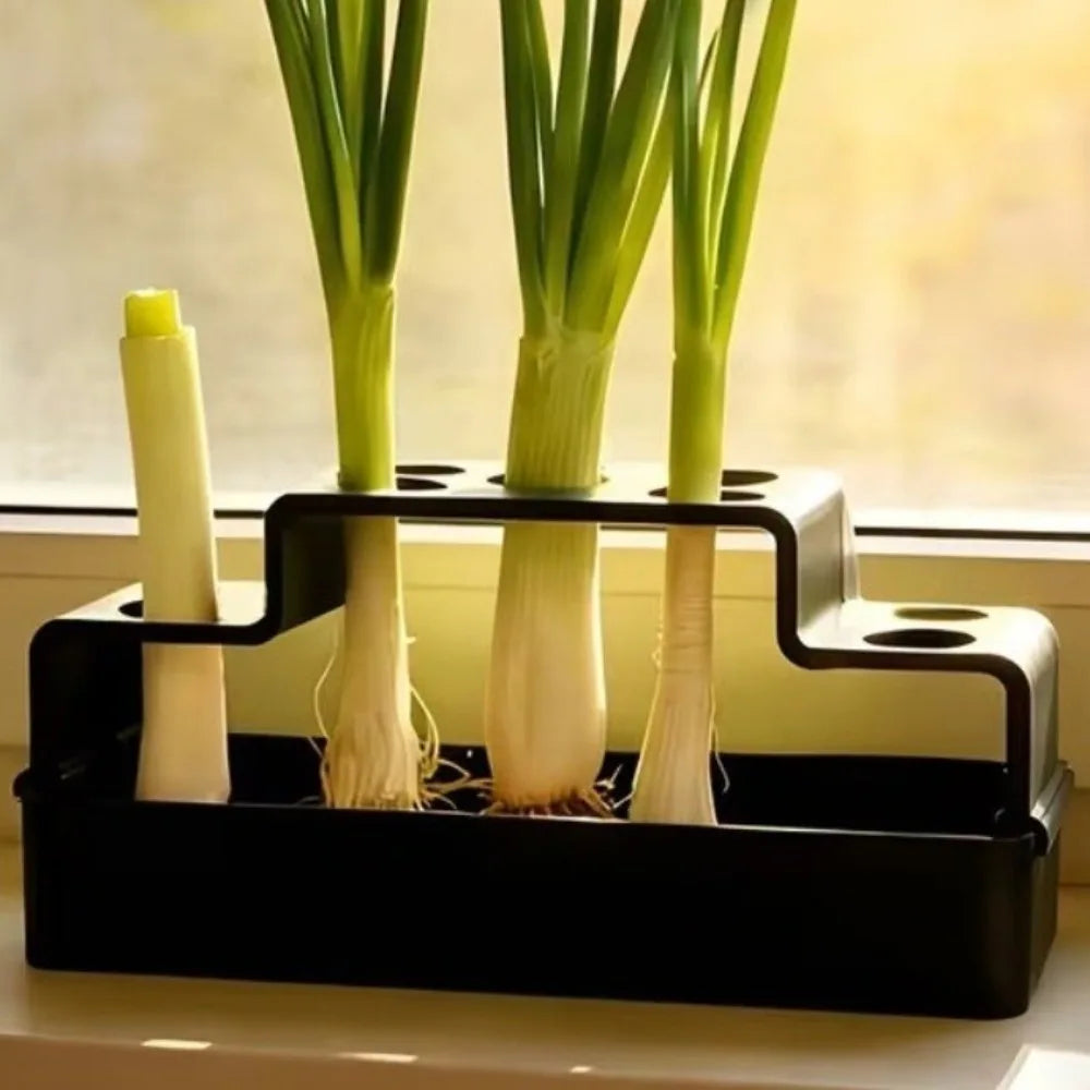 Hydroponic Vegetable Box – Soil-Free Herb Regrowth Planter