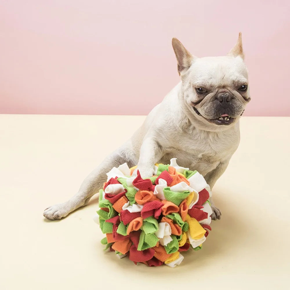 Rainbow Snuffle Ball Dog Enrichment Toy – Brain Training & Slow Feed