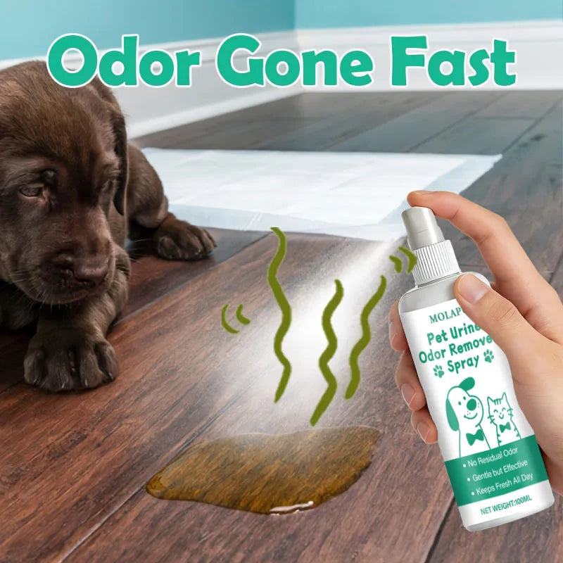 Pet Urine Odor Eliminator Spray – Carpets, Floors & Furniture