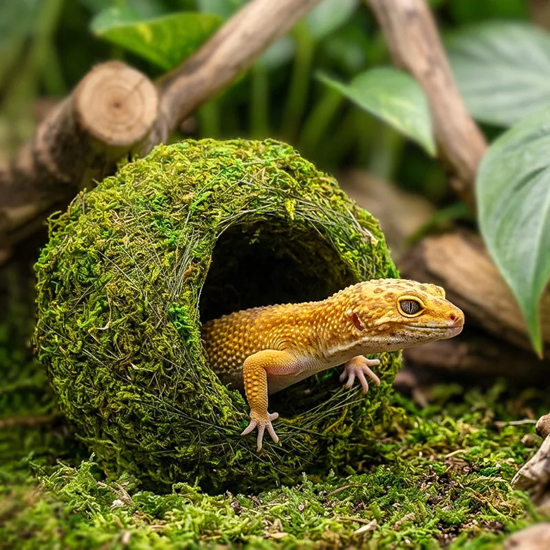Reptile Moss Hiding Cave – Snake & Lizard Hide Terrarium