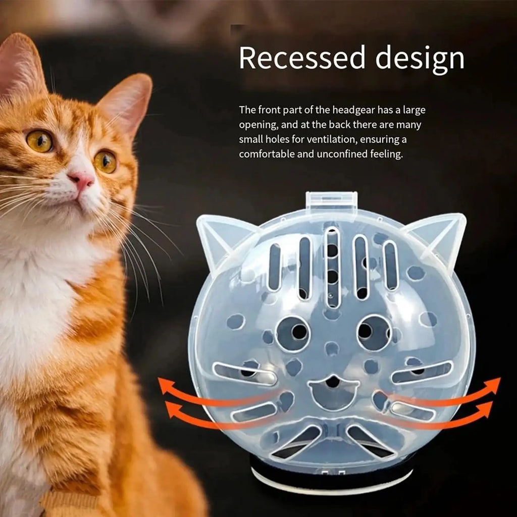 Transparent Cat Muzzle – Breathable Grooming Helmet