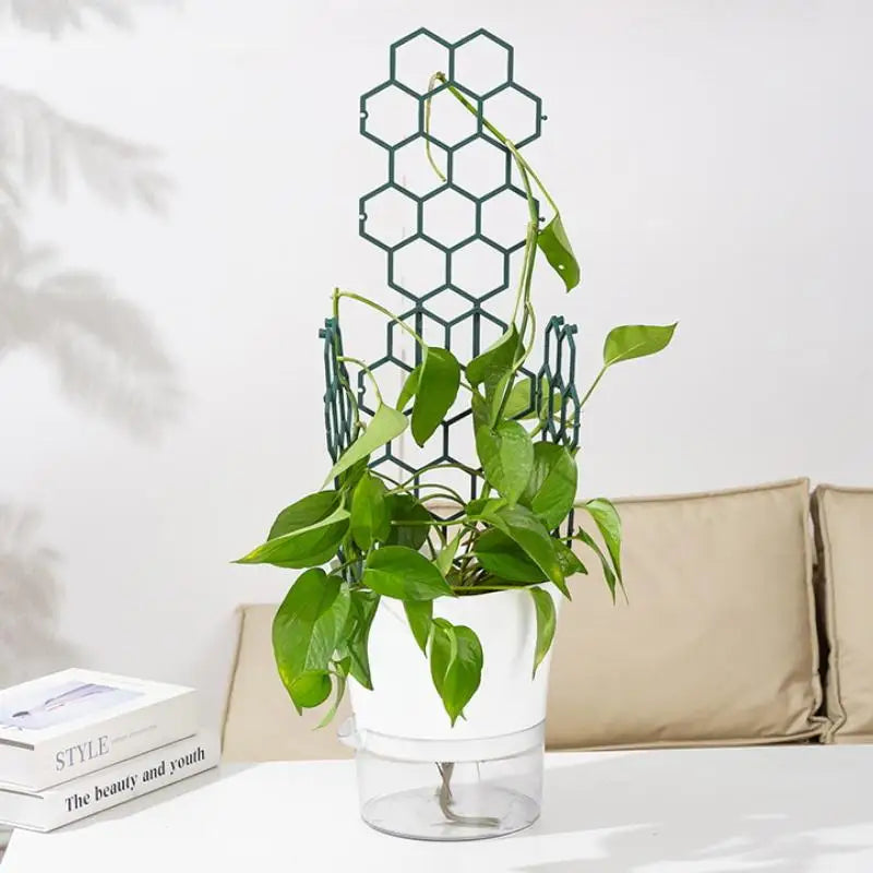 Honeycomb Plant Trellis Plastic Support for Climbing Vines 1-5Pcs