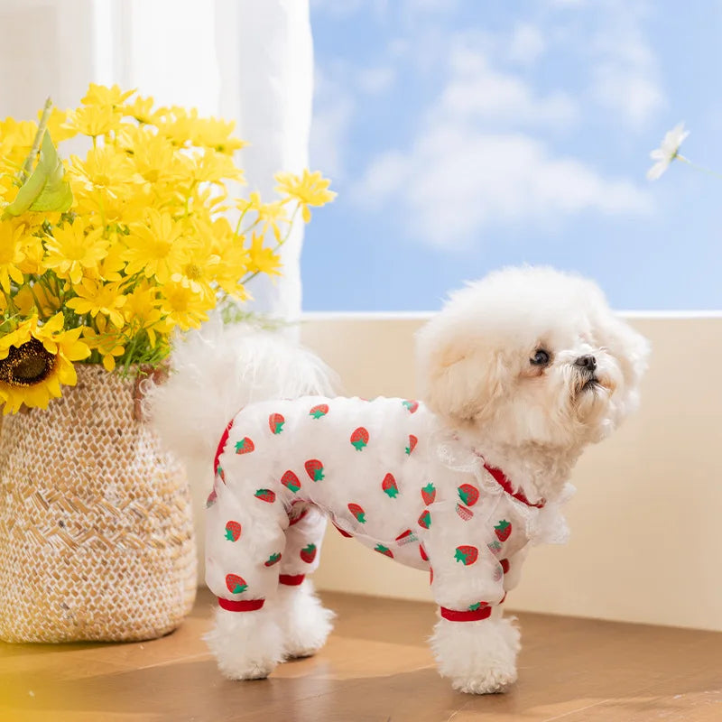 Puppy Breathable Mesh Jumpsuit – Insect-Proof Dog Clothes XS–XL