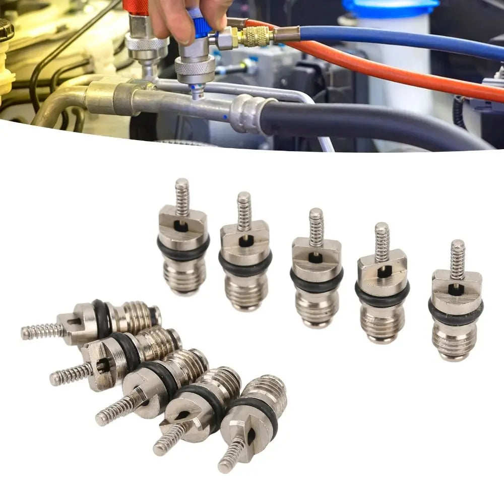 20PCS Car A/C Schrader Valve Core Set – Multi-Size Universal Kit
