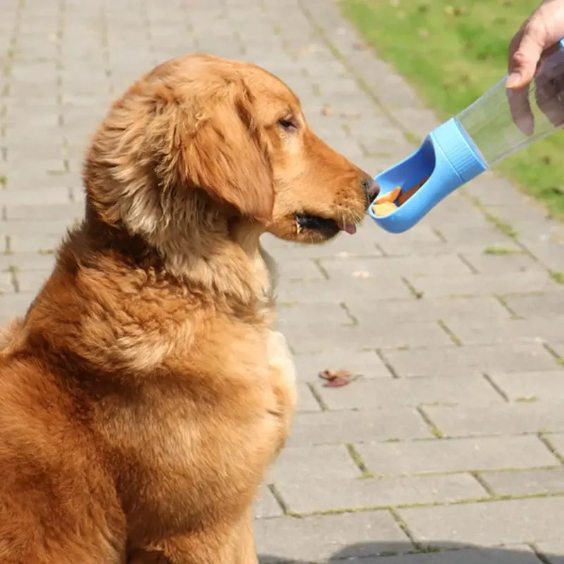 Portable Dog & Cat Water Bottle with Food Compartment