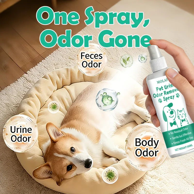 Pet Urine Odor Eliminator Spray – Carpets, Floors & Furniture