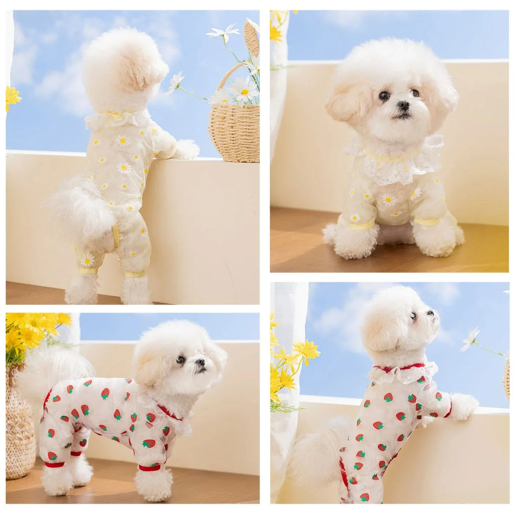 Puppy Breathable Mesh Jumpsuit – Insect-Proof Dog Clothes XS–XL