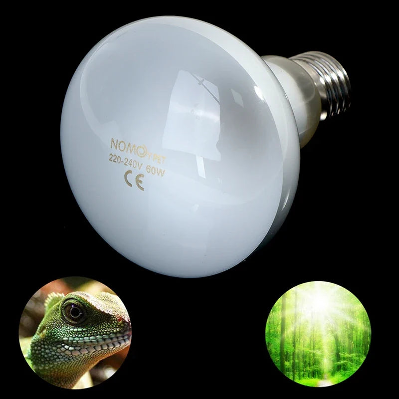 UVA+UVB Reptile Basking Lamp Bulb – Turtles, Lizards & More