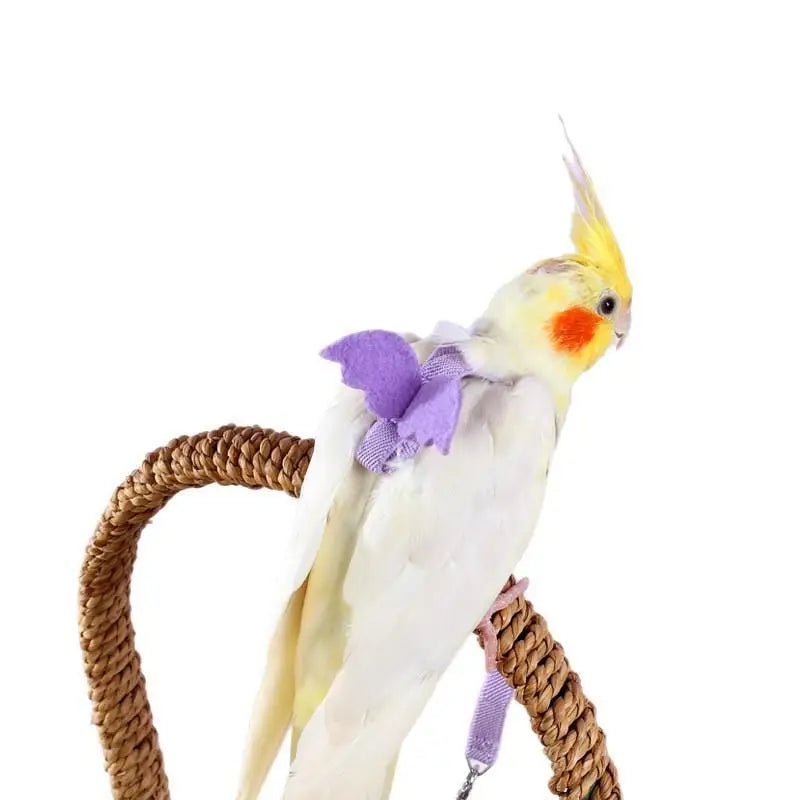 Parrot Harness & Leash Set – Budgie Cockatiel Outdoor Training