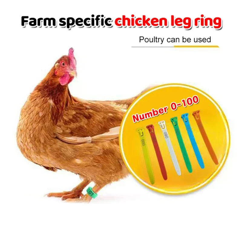 50/100Pcs Adjustable Chicken Leg Bands – 5 Color Poultry Rings
