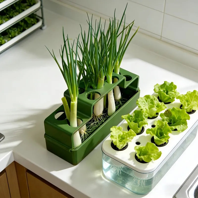 Scallion Hydroponic Growing Box – Soil-Free Reusable Planter