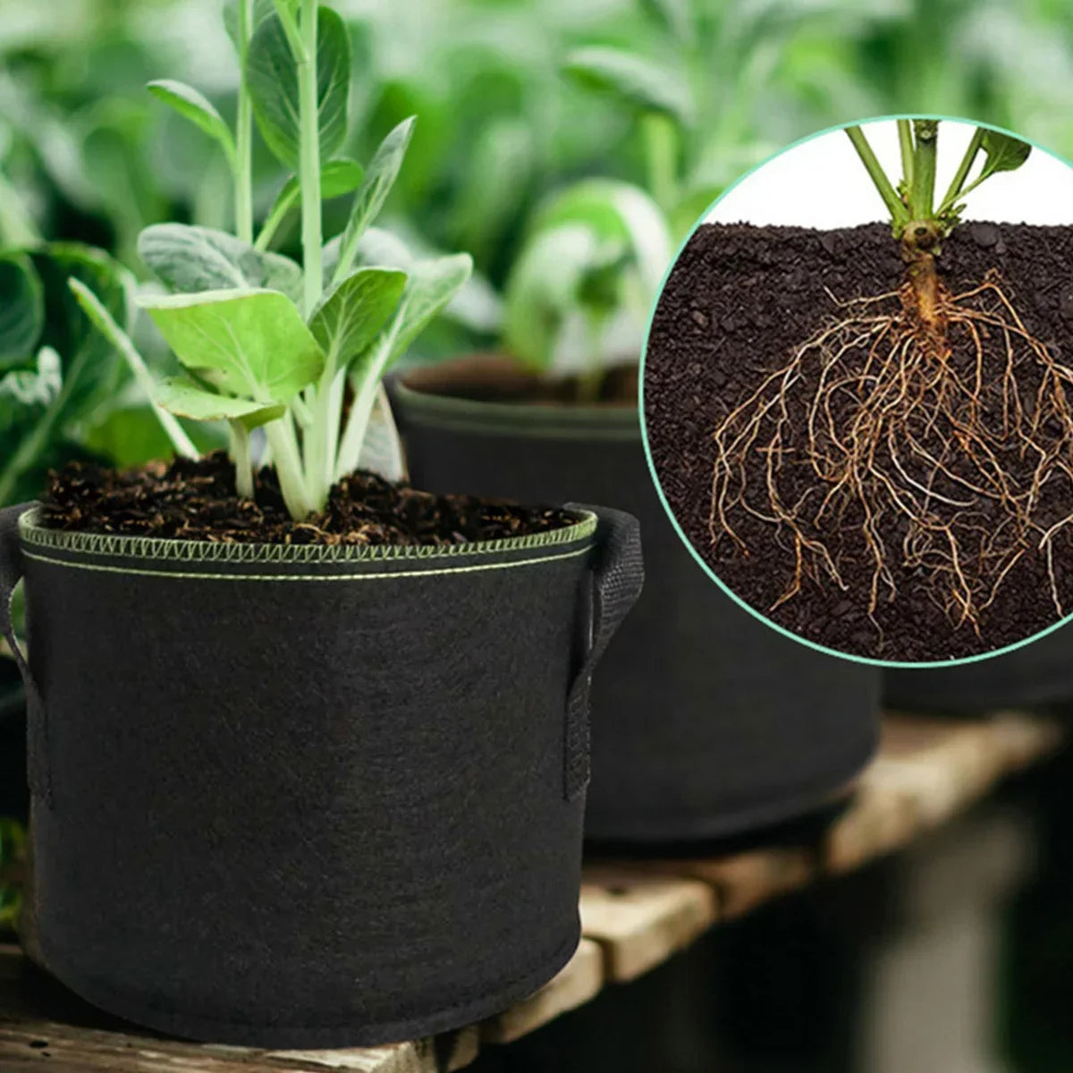 10 Gallon Fabric Grow Bags – Plant Pots with Sturdy Handles