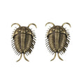Brass Trilobite Figurine – Retro Desk Ornament & Tea Pet