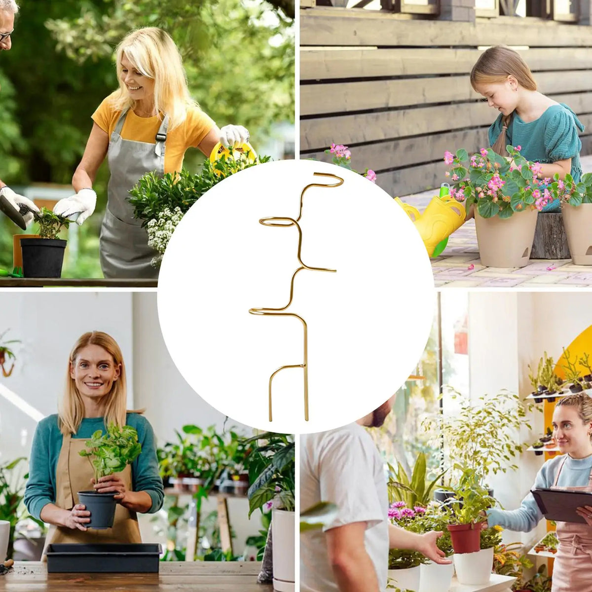 Metal Monstera Plant Stakes – Indoor & Outdoor Stem Support