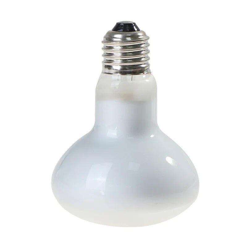 UVA+UVB Reptile Basking Lamp Bulb – Turtles, Lizards & More