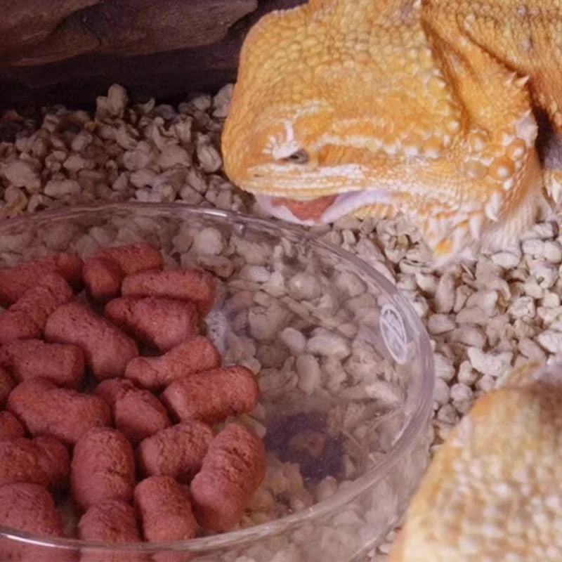 Maned Lizard Compound Feed 350g – Insect Mixed Reptile Food