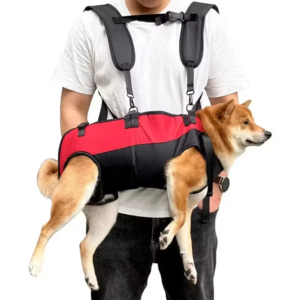 Pet Cat & Dog Double Shoulder Breathable Outdoor Backpack Carrier