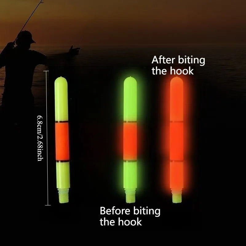 Luminous Night Fishing Float – Sliding Buoy for Pike & Carp