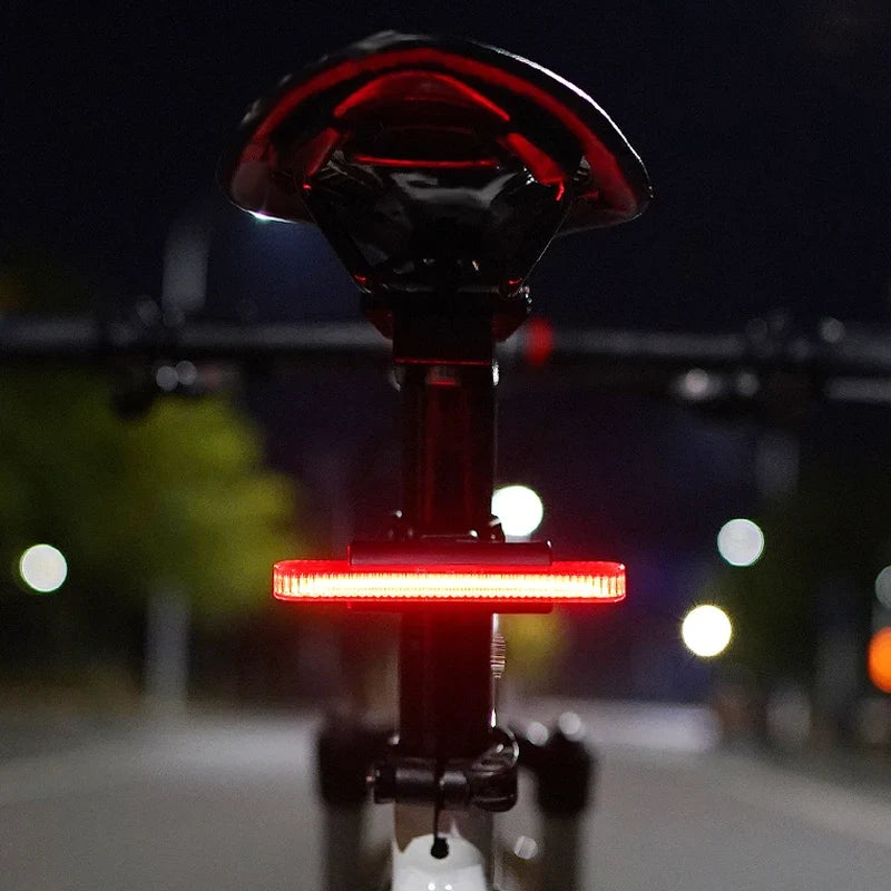 BUCKLOS Bike Tail Light 4 Modes USB Rechargeable Rear Safety Lamp
