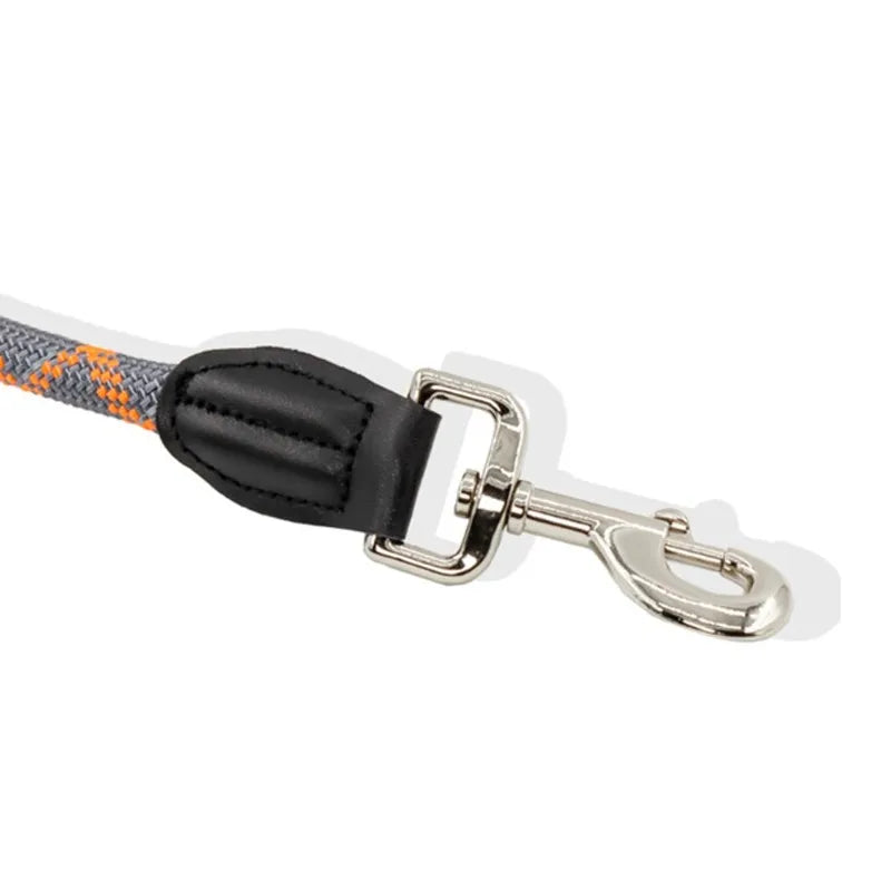 Reflective Double-Head Hands-Free Dog Training Leash – S/M/L