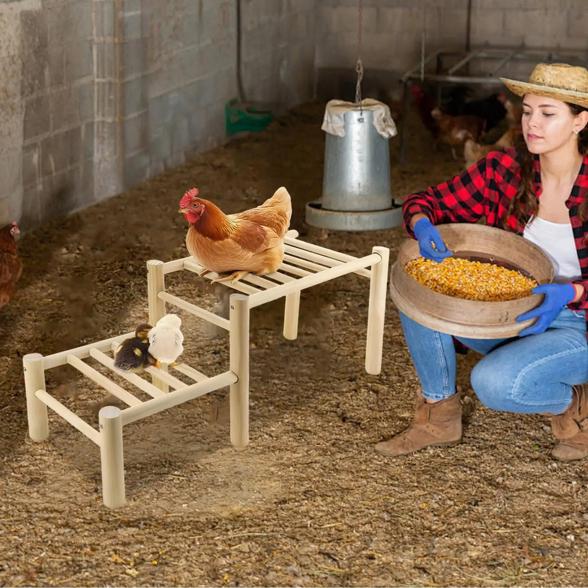 Wooden Chicken Roosting Perch & Training Habitat for Coops