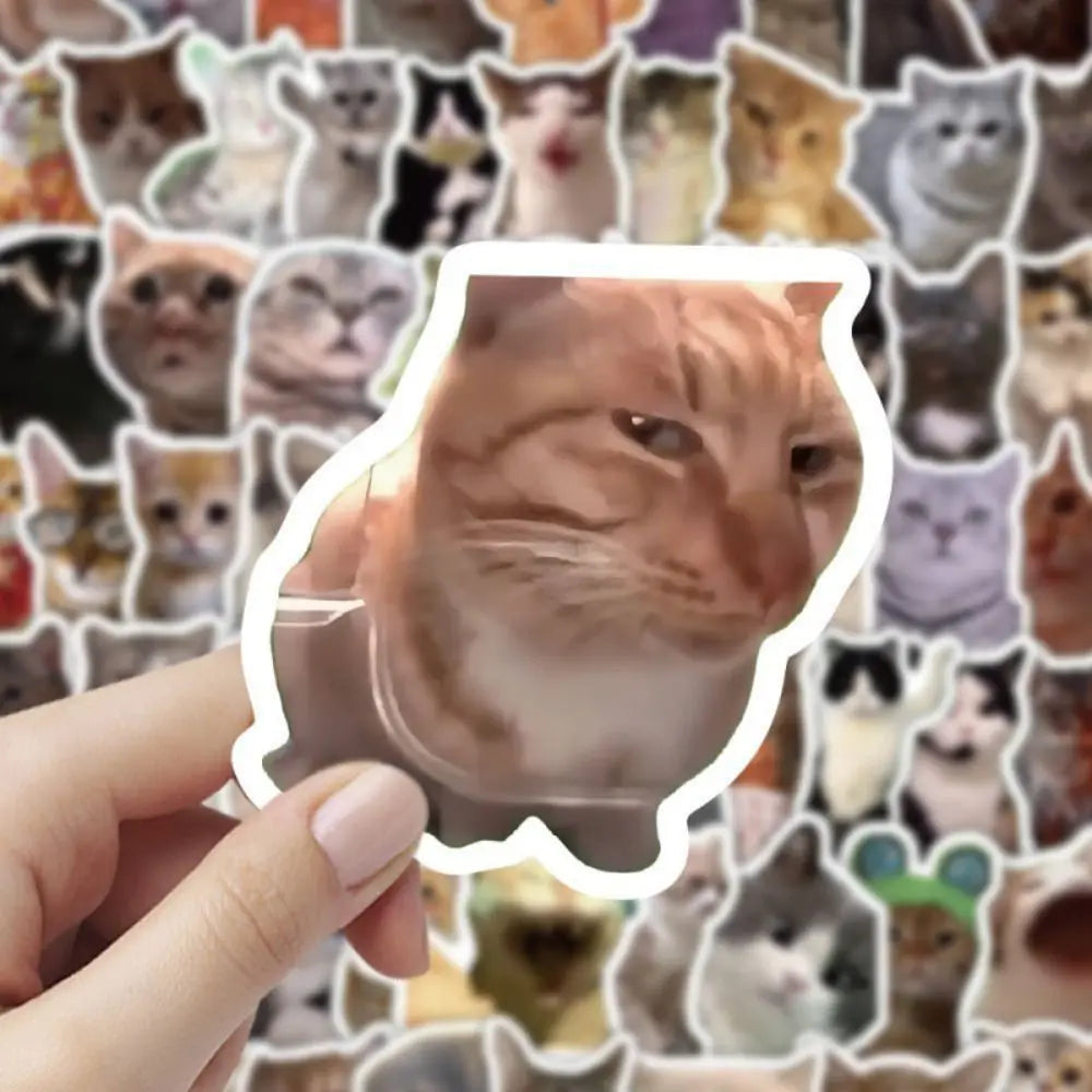100-Pack Waterproof Meme Graffiti Stickers – DIY Decals