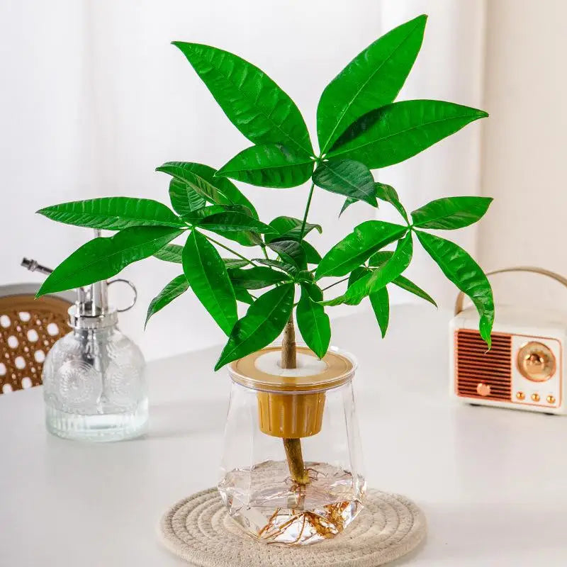 Mini Self-Watering Planter Pot – Transparent Plastic Vase Décor