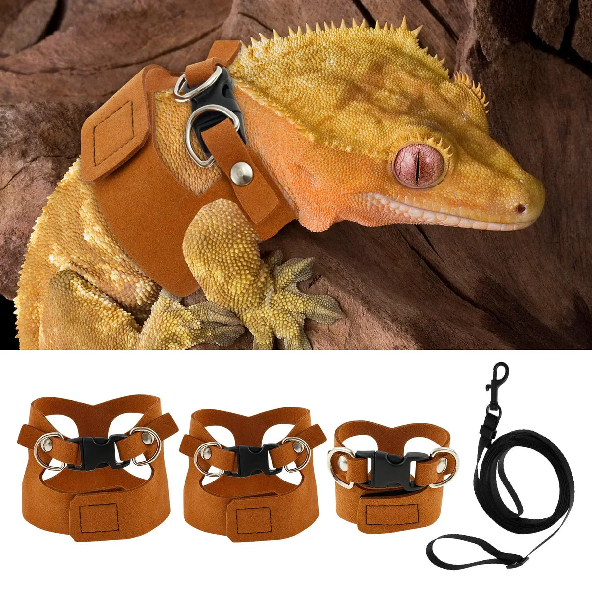 3-Pack Lizard Harness & Leash – Bearded Dragon S/M/L Set