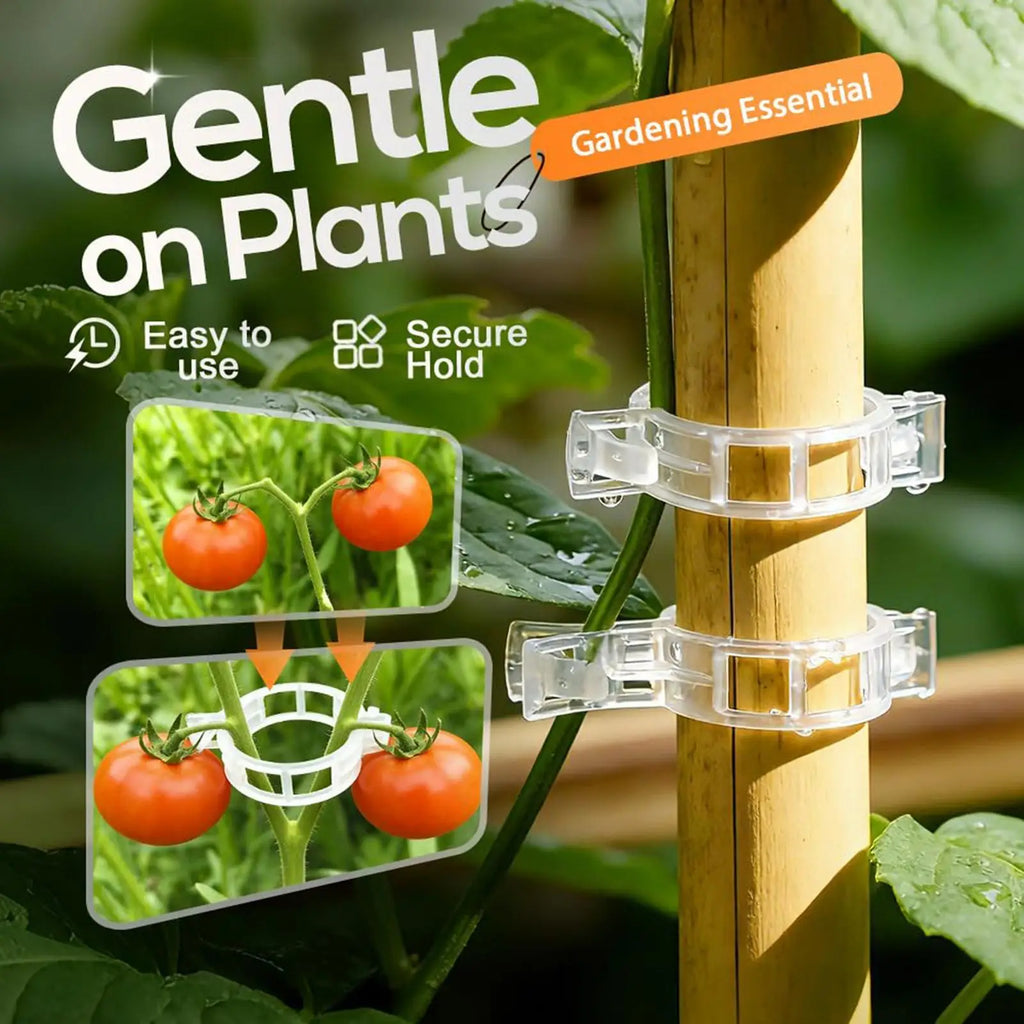 100pcs Tomato Plant Clips – Vine & Stem Support Clamps