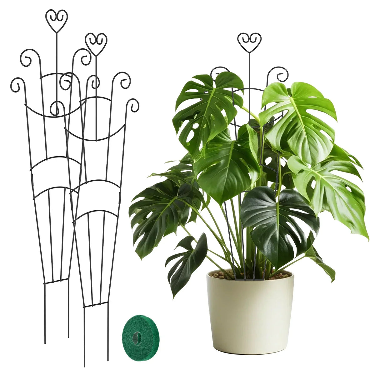 Metal Plant Climbing Trellis 2Pcs – Monstera Vine Support