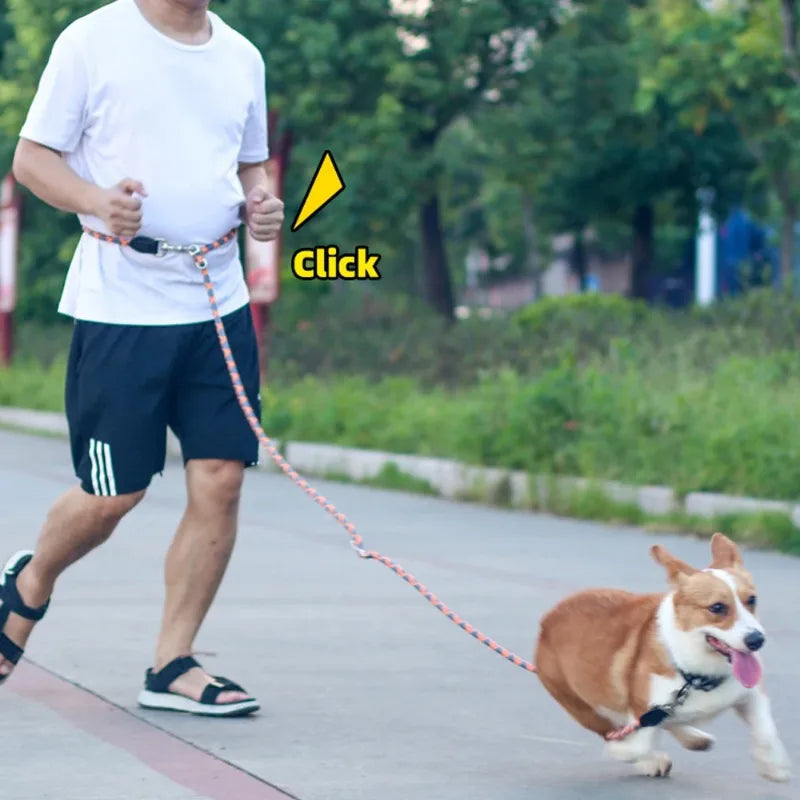 Reflective Double-Head Hands-Free Dog Training Leash – S/M/L