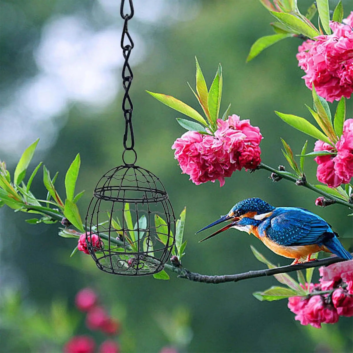 Squirrel-Proof Metal Suet Ball Feeder – Hangable Wild Bird Feeder