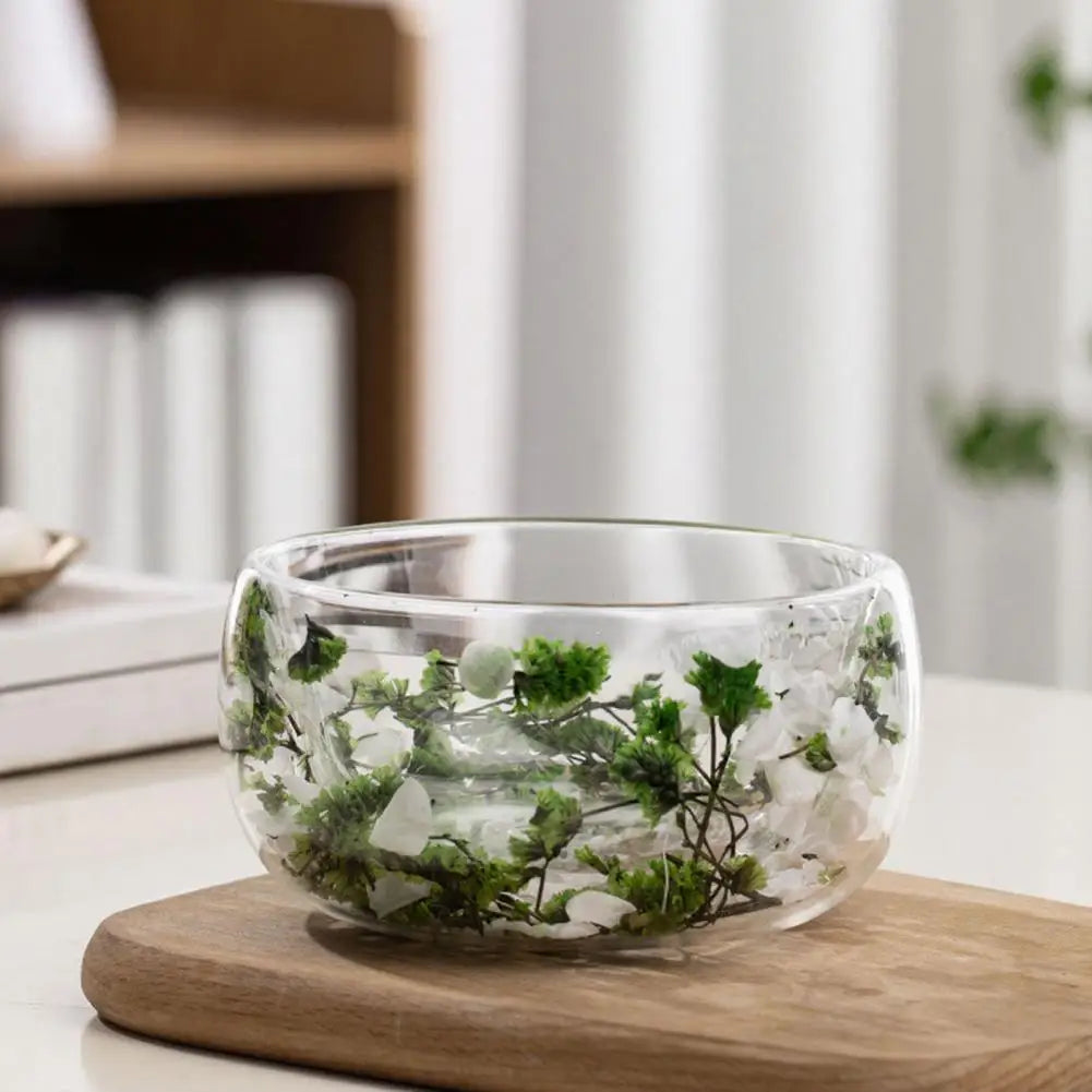300ml Double-Walled Borosilicate Glass Bowl – Dried Flowers